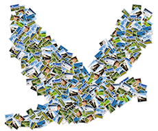 quakertown teavel agent quakertown teavel agent